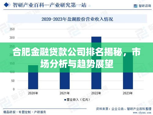 合肥金融贷款公司排名揭秘，市场分析与趋势展望