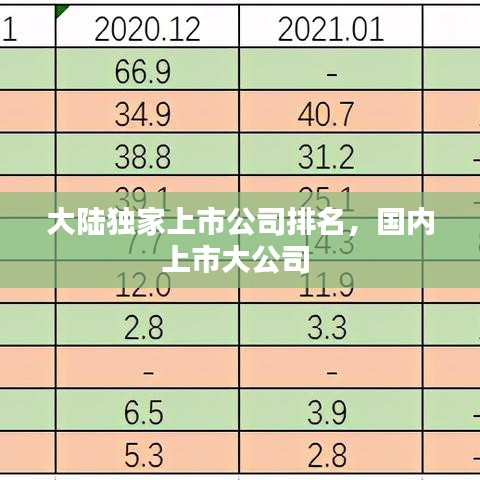 大陆独家上市公司排名，国内上市大公司 