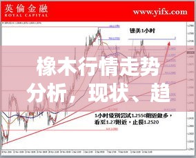 橡木行情走势分析，现状、趋势与热门关注点