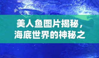 美人鱼图片揭秘，海底世界的神秘之美探索