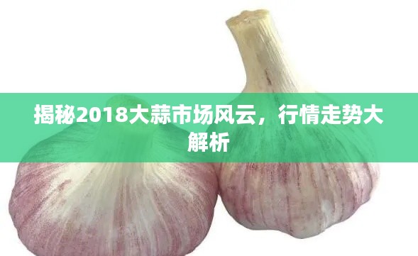 揭秘2018大蒜市场风云，行情走势大解析