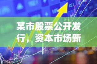 某市股票公开发行，资本市场新篇章启幕