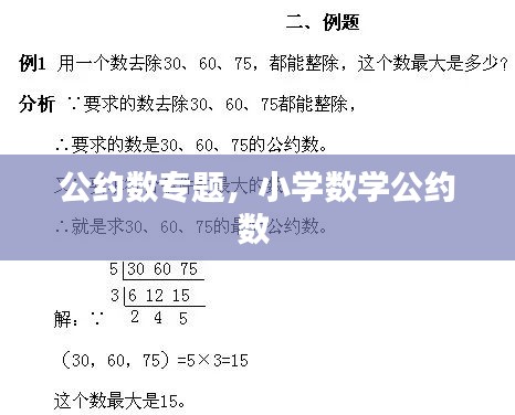 公约数专题，小学数学公约数 