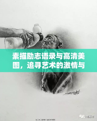 素描励志语录与高清美图，追寻艺术的激情与坚持之路