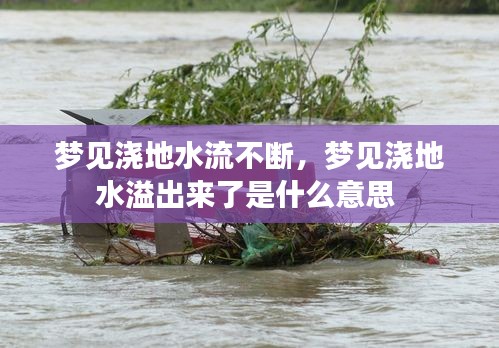 梦见浇地水流不断，梦见浇地水溢出来了是什么意思 