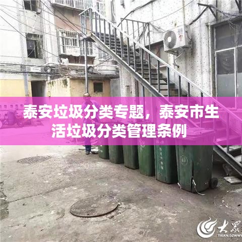 泰安垃圾分类专题，泰安市生活垃圾分类管理条例 