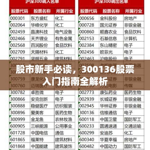 股市新手必读，300136股票入门指南全解析