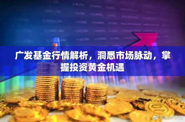 广发基金行情解析，洞悉市场脉动，掌握投资黄金机遇