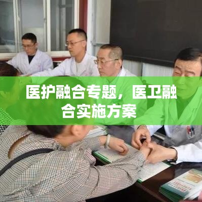 医护融合专题，医卫融合实施方案 