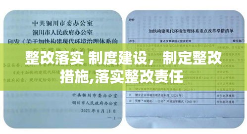 整改落实 制度建设，制定整改措施,落实整改责任 