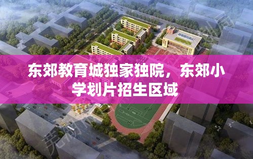 东郊教育城独家独院，东郊小学划片招生区域 