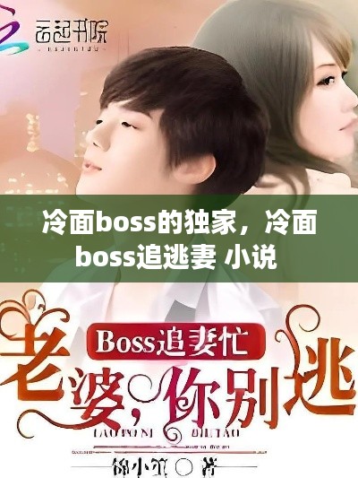 冷面boss的独家，冷面boss追逃妻 小说 