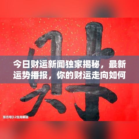 今日财运新闻独家揭秘，最新运势播报，你的财运走向如何？