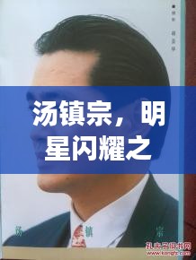 汤镇宗，明星闪耀之路