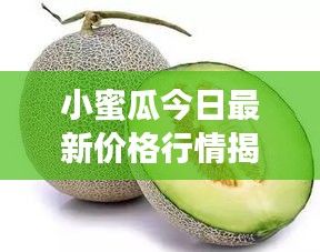 小蜜瓜今日最新价格行情揭秘！