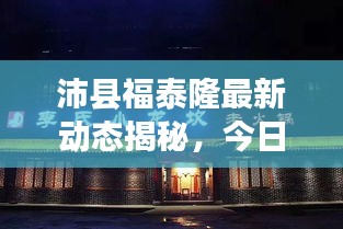 沛县福泰隆最新动态揭秘，今日消息与违法犯罪问题深度剖析