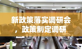 新政策落实调研会，政策制定调研 