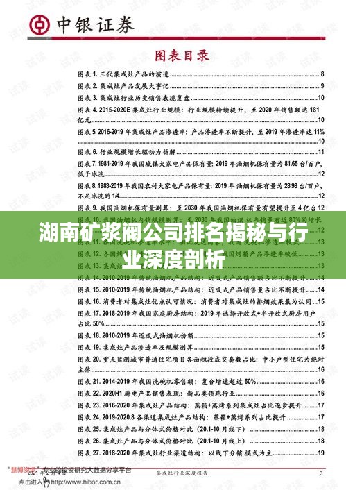 湖南矿浆阀公司排名揭秘与行业深度剖析