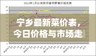 宁乡最新菜价表，今日价格与市场走势分析