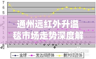 通州远红外升温毯市场走势深度解析，行情概览与趋势展望