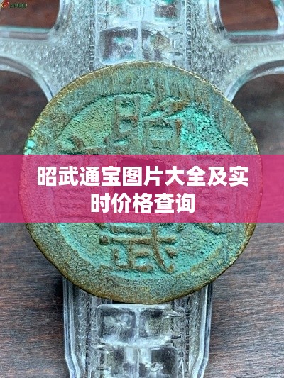 昭武通宝图片大全及实时价格查询