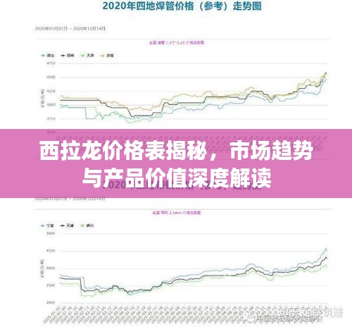 西拉龙价格表揭秘，市场趋势与产品价值深度解读