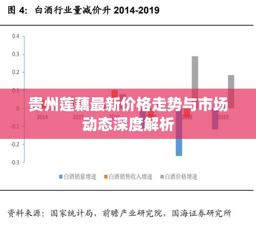 贵州莲藕最新价格走势与市场动态深度解析