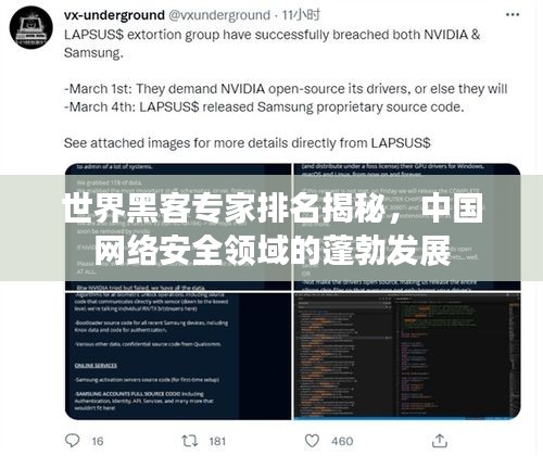 世界黑客专家排名揭秘，中国网络安全领域的蓬勃发展