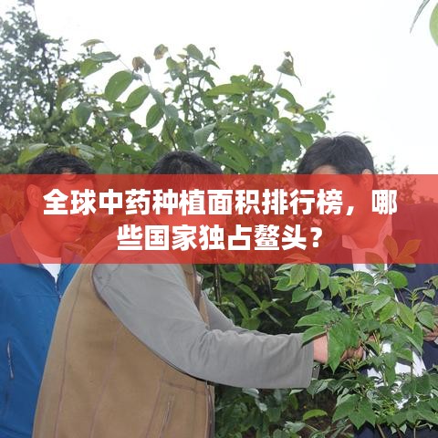 全球中药种植面积排行榜，哪些国家独占鳌头？