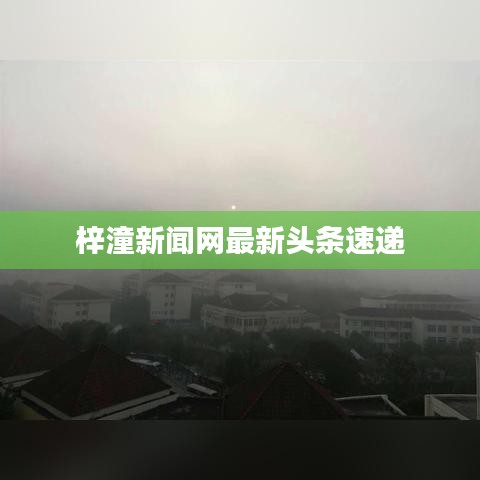 梓潼新闻网最新头条速递