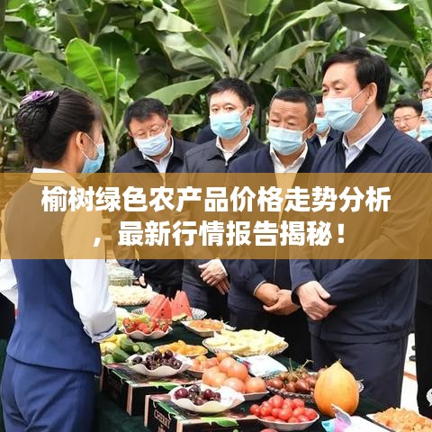 榆树绿色农产品价格走势分析，最新行情报告揭秘！