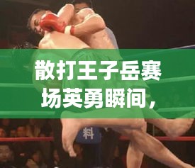 散打王子岳赛场英勇瞬间，视觉盛宴震撼上演！