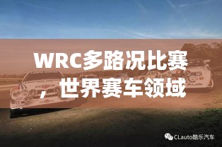 WRC多路况比赛，世界赛车领域的璀璨明珠