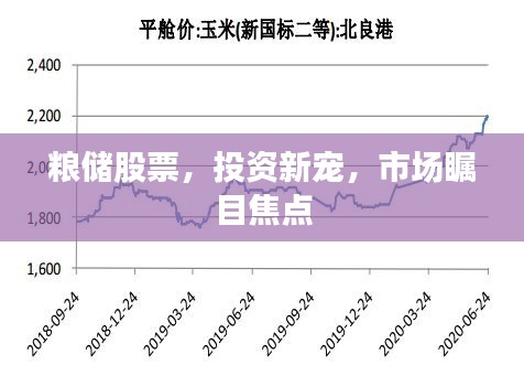 粮储股票，投资新宠，市场瞩目焦点