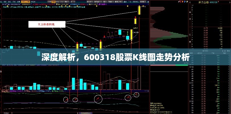 深度解析，600318股票K线图走势分析