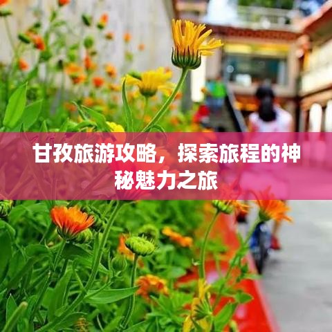 甘孜旅游攻略，探索旅程的神秘魅力之旅