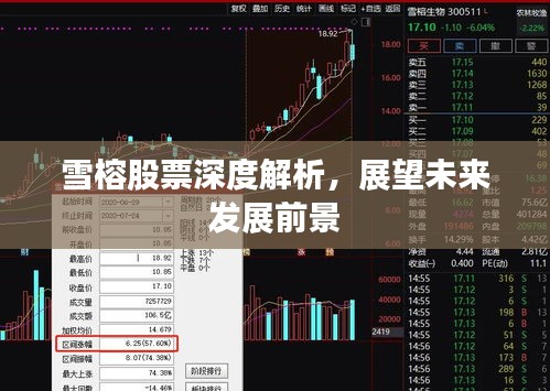 雪榕股票深度解析，展望未来发展前景
