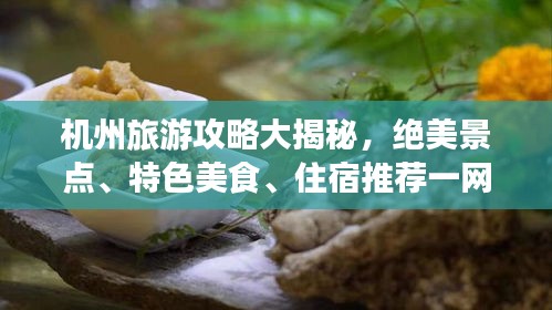 机州旅游攻略大揭秘，绝美景点、特色美食、住宿推荐一网打尽！