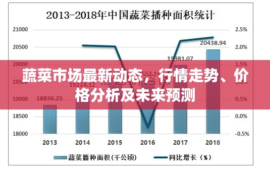 蔬菜市场最新动态，行情走势、价格分析及未来预测