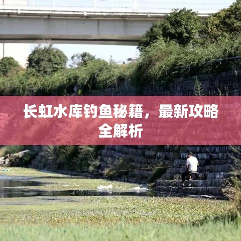 长虹水库钓鱼秘籍，最新攻略全解析