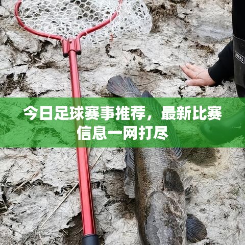 今日足球赛事推荐，最新比赛信息一网打尽