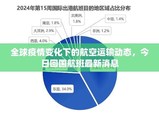 全球疫情变化下的航空运输动态，今日回国航班最新消息