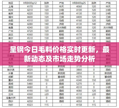 呈钢今日毛料价格实时更新，最新动态及市场走势分析