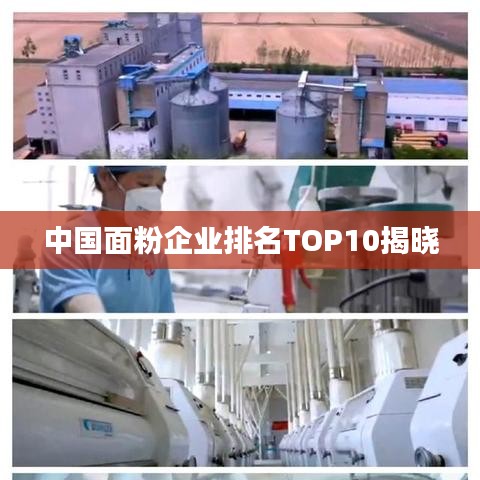 中国面粉企业排名TOP10揭晓