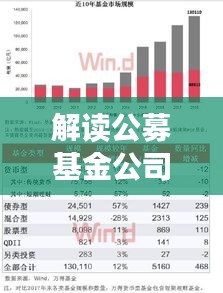 解读公募基金公司排名榜，洞悉投资风向标！