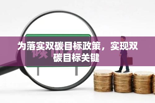 为落实双碳目标政策，实现双碳目标关键 