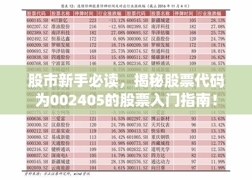 股市新手必读，揭秘股票代码为002405的股票入门指南！