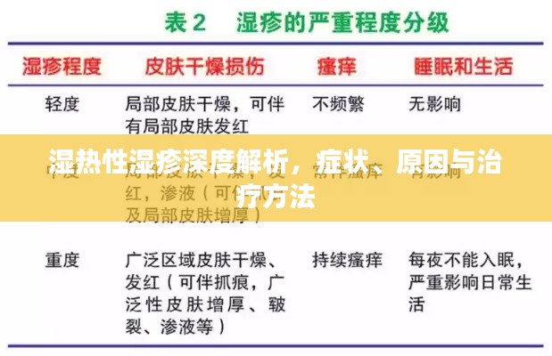 湿热性湿疹深度解析，症状、原因与治疗方法