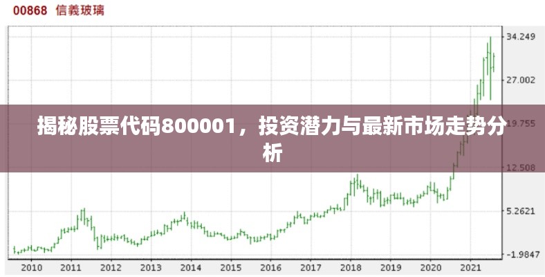 揭秘股票代码800001，投资潜力与最新市场走势分析