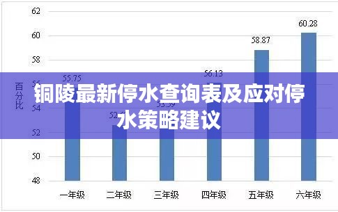 铜陵最新停水查询表及应对停水策略建议